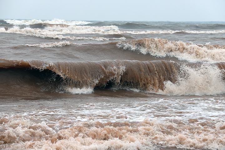 Schafer Beach